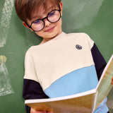 TODDLER BOYS' COLOUR BLOCKED SWEATSHIRT